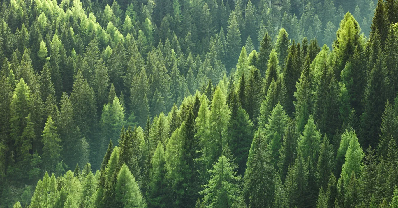 Our ESG Strategy