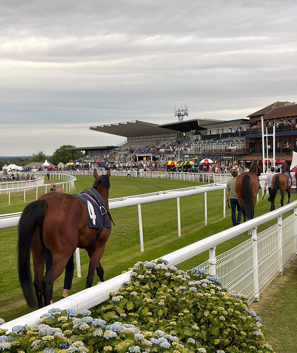Beverley Races 2026