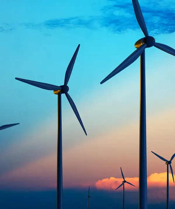 Our journey to net zero