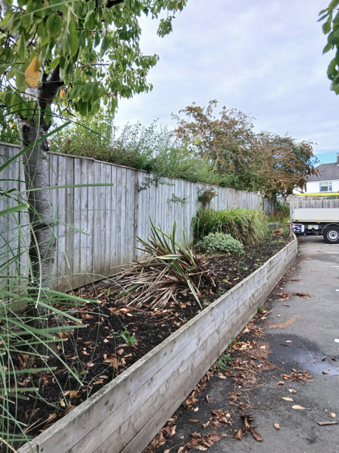 AWP Stockton Volunteers at Community Growth Hub
