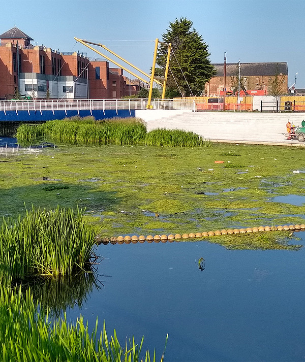 Water Quality Improvement Works